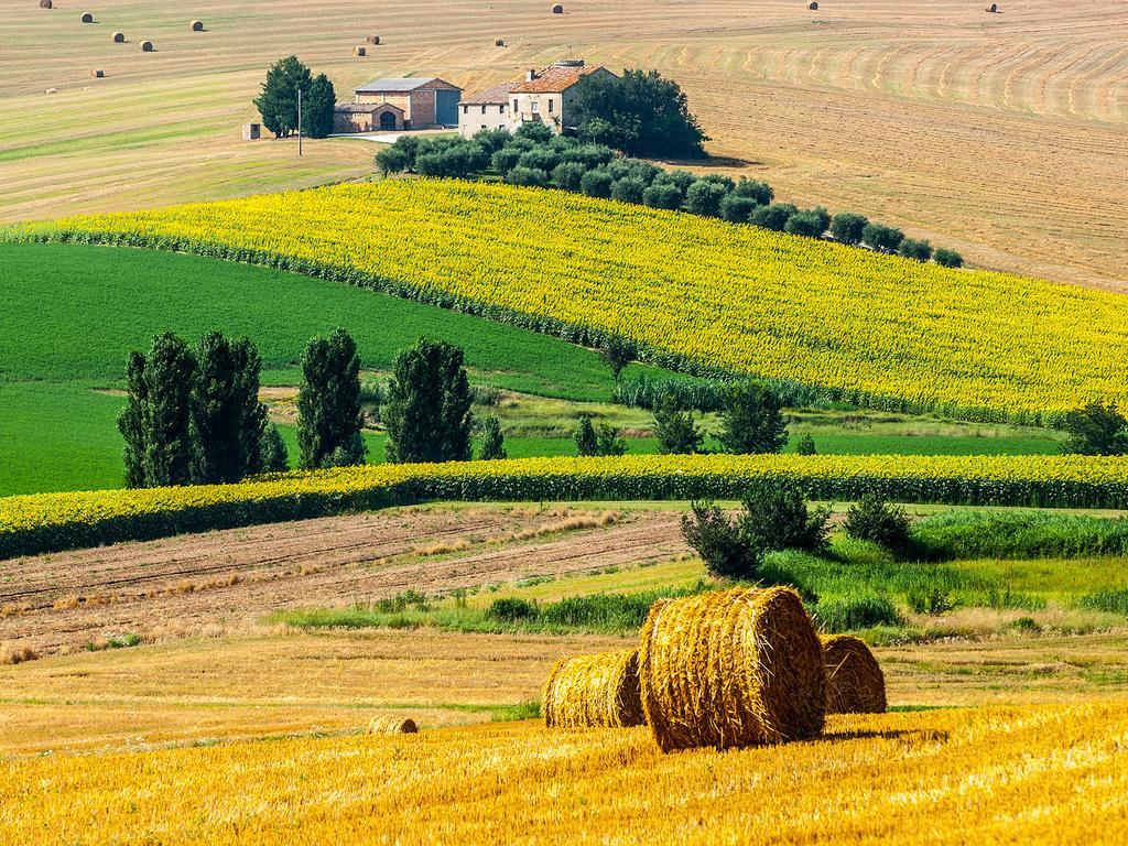 B&B Villa Paradiso Urbino Kültér fotó